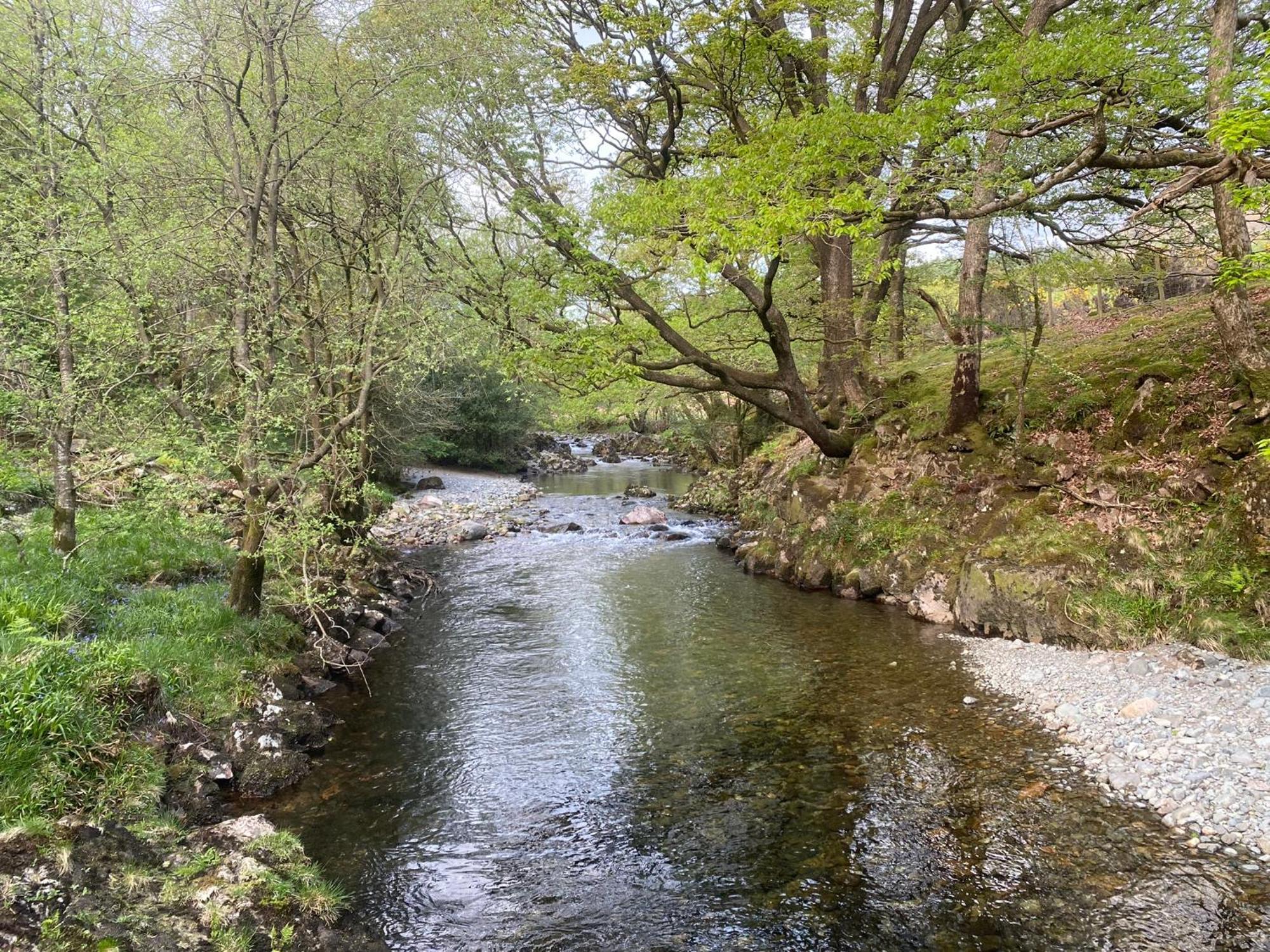 Cosy Glamping In The Eskdale Valley - Studio Lodges And Mega Pods Eksteriør billede
